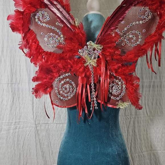 Hand-Made Wings - Picture 1 of 14